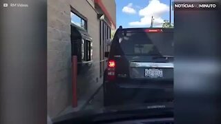 Já viu um cão fazer pedido no drive-thru?