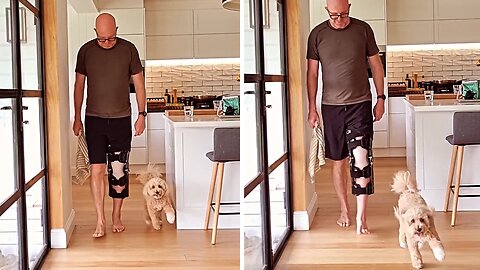 Limping dog copies his injured owner out of sympathy