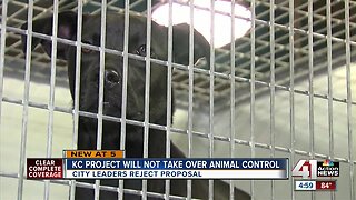 KC Pet Project will not take over animal control