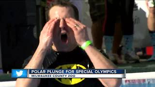 Hundreds take polar plunge for Special Olympics Wisconsin