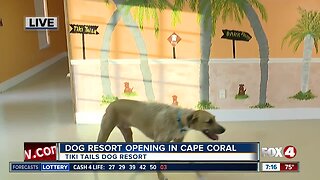 Tiki Tails Dog Resort opening in Cape Coral