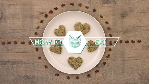 DIY Cat Treats: Oaty tuna hearts