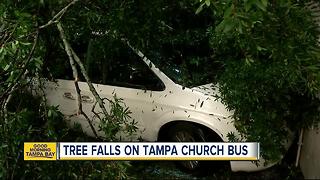 Storm snaps aging oak in half, tree crashes on top of van with passengers inside