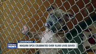 Niagara SPCA celebrates more than 15,000 lives saved