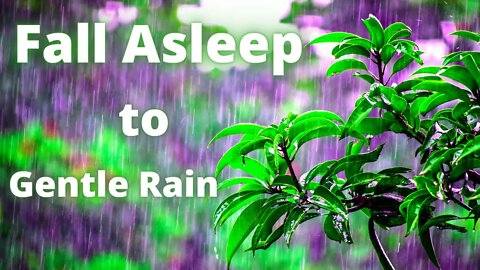 QUICKLY Fall Asleep to Gentle Rain Sounds.