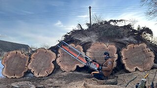 Very dangerous but effective stump sawing