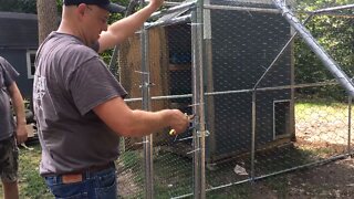 Putting Chicken wire on New Chicken Run