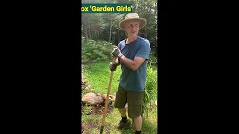 #shorts Country Rock Garden Plantings Part 1