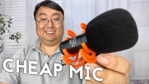 Best Budget Shotgun Boom Microphone Review