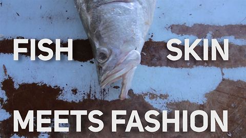 Wearing fish.... Yes, it's a thing and it's awesome