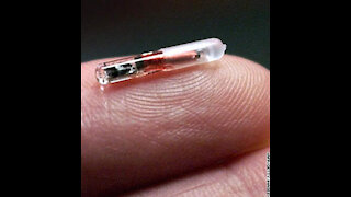 Are RFID Chips the Mark?