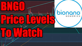 BNGO Stock Price Fibinachi Retracement Levels to watch