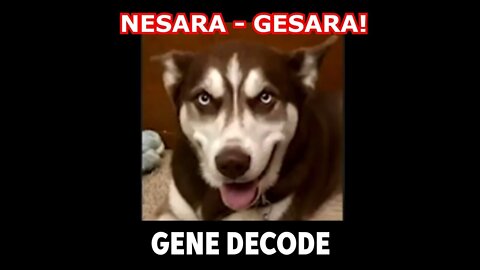 Gene Decode: Nesara - Gesara!