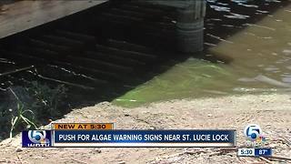 Visitors wish for algae warning signs to be posted near St.Lucie Lock