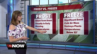 Geeking Out: Frost vs. Freeze