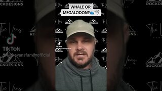 Megalodon Shark or Whale?