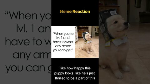 Good Boy's wear what they want - Meme Reaction 45 #shorts #gamingmemes