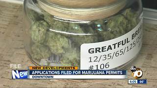 Applicants file early for marijuana permits