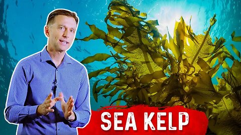 7 Interesting Benefits of Sea Kelp Beyond the Thyroid – Dr.Berg