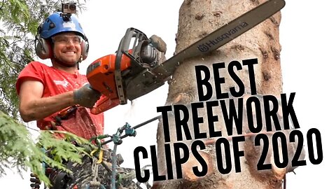 BEST TREEWORK compilation 2020