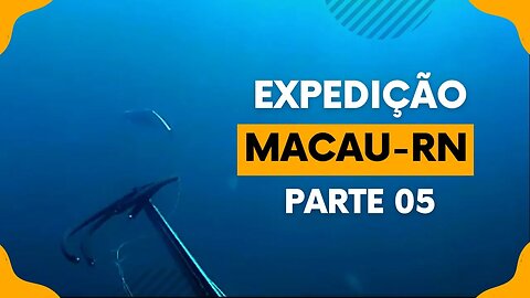 🎣 Expedição Macau RN - Pesca Sub em Apneia - Parte 05 🌊🐟 #pescasub #pescasubmarina #spearfishing