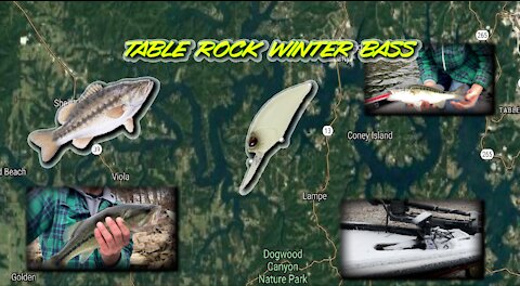 Table Rock Lake Winter Fishing