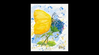 Yellow Butterfly on wildflower