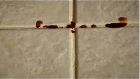 Grout Perfect® Stain Resistant