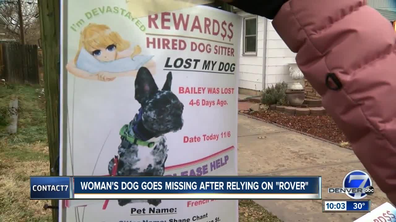 Aurora woman who hired dog sitter through Rover app now looking for missing pup