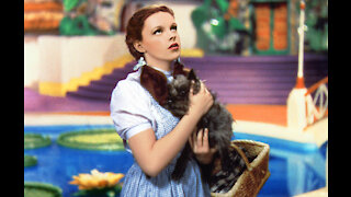 The Wizard of Oz is being remade