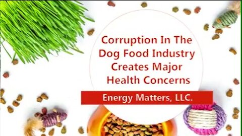 Corruption In The Dog Food Industry Creates Major Health Concerns