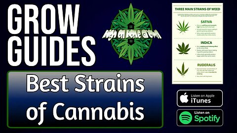 Best Cannabis Strains | Grow Guides Episode 44