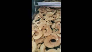 Freeze Dried Apples