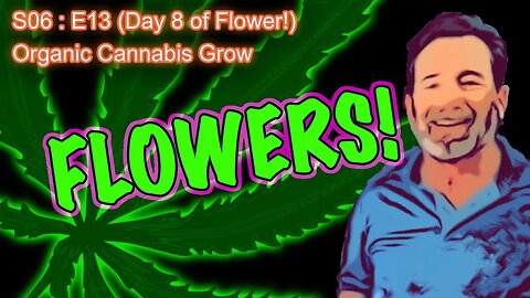 S06 E13 (Day #85) || Day 8 of Flower || Caring for a Runt || BlueMat Soil Meter