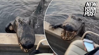 Alligator climbing into boat is 'scary as s—t'