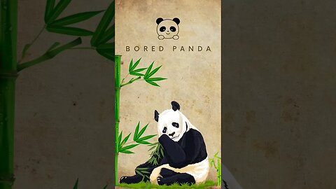 Bored Panda 🐼 #shorts #youtube #Shorts #satisfying video
