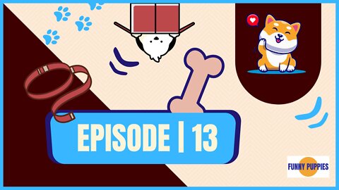 Funny Puppies 🐶 | EP.13