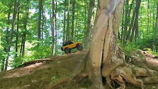 Disc Golf & Crawler Fun, 2021 Ford Bronco Traxxas Trx-4