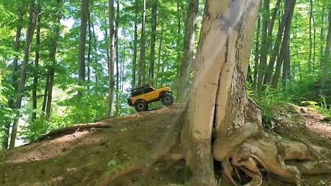 Disc Golf & Crawler Fun, 2021 Ford Bronco Traxxas Trx-4