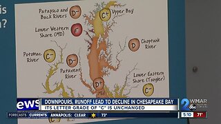 Downpours,runoff, lead to decline in Chesapeake Bay