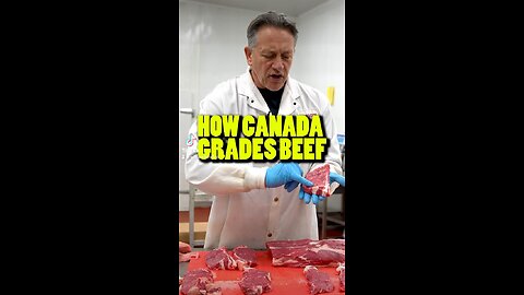 Best Beef in Ontario