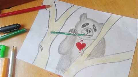 How to Draw a Panda Easy for Kids - Easy Panda Drawing