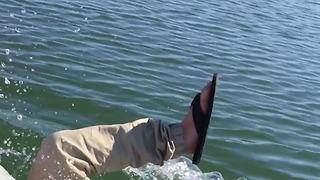 Funniest Fishing FAILS