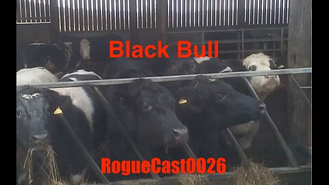 RogueCast 26 - Black Bull