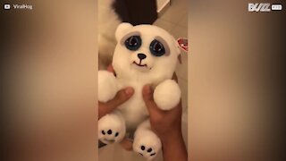Gullig eller läskig? En leksak eller en riktig hund?
