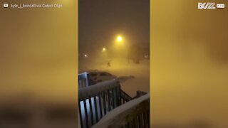 Une tempête de neige enterre des voitures à Terre-Neuve au Canada