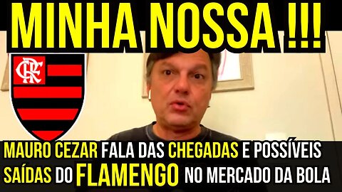 MINHA NOSSA!!! MAURO CEZAR FALA SOBRE CHEGADAS E SAÍDAS NO FLAMENGO É TRETA!!! NOTÍCIAS DO FLAMENGO