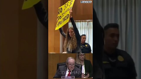 Protestors at Blinken's talk in Foreign Relations Committee Hearing asking USA to practice diplomacy