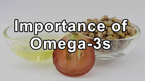 The Critical Importance of Omega-3s in Our Diet - Udo Erasmus