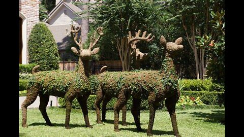 BIGGEST COLLECTION OF AMAZING TOPIARY'S